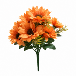Buque Gerbera C/10