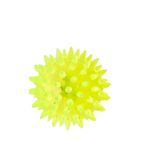 Bola Pet C/led