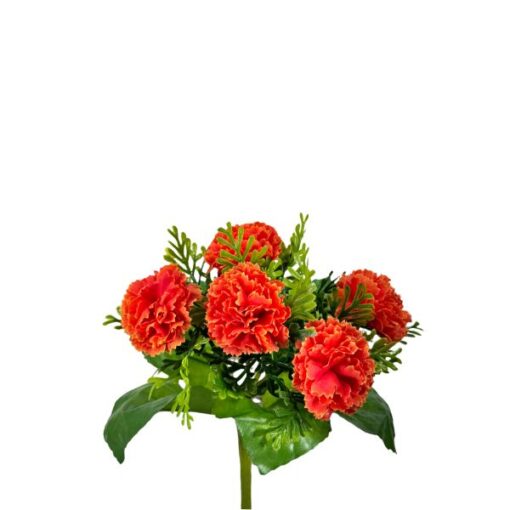 Buque Cravo C/05 25cm