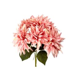 Buque Dalia C/07 42cm