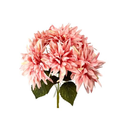 Buque Dalia C/07 42cm