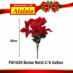 Fw1629 Buque Natal Aveludado C/06
