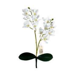 Buque Orquidea 31cm