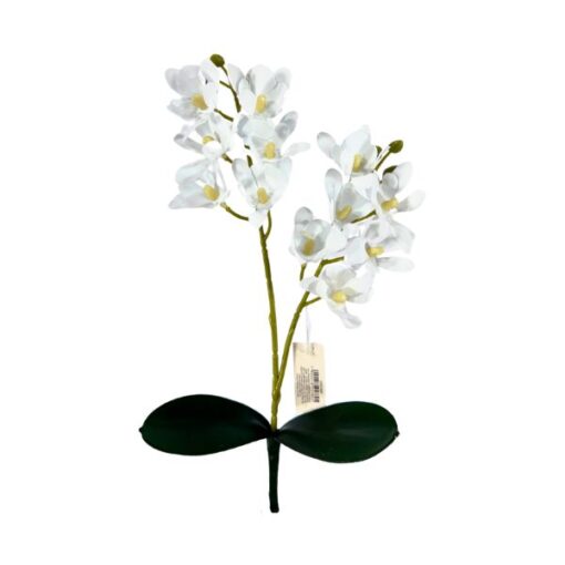 Buque Orquidea 31cm