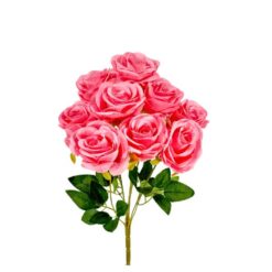 Buque Rosa C/09 45cm