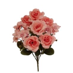 Buque Rosa C/10