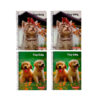 Caderno 80fls Univ Esp C/d Caes E Gatos