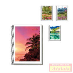 Caderno 96fls 1/4 Esp Flexivel