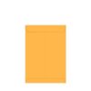 Envelope Curriculo Ouro 22,9x32,4cm C/02