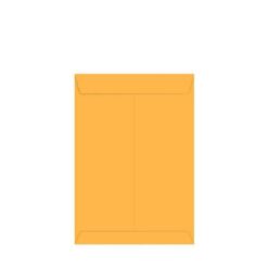 Envelope Curriculo Ouro 22,9x32,4cm C/02