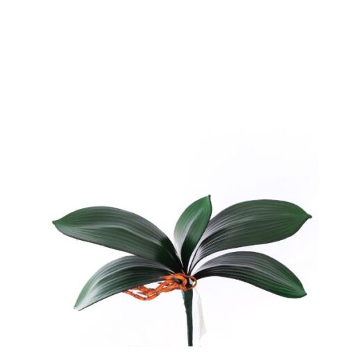 Folha Orquidea 26cm C/05