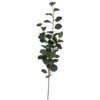 Galho Eucalipto 92cm