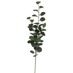 Galho Eucalipto 92cm