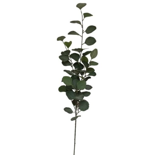 Galho Eucalipto 92cm