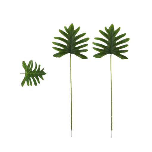 Galho Haste Costela De Adao 58cm