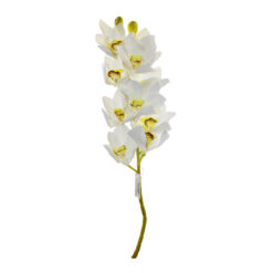 Galho Orquidea Branca Gr 3d