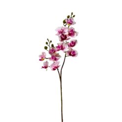 Galho Orquidea 62cm