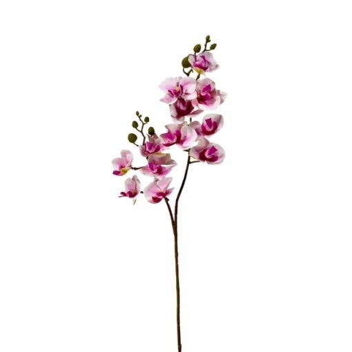Galho Orquidea 62cm