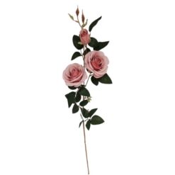 Galho Rosa C/03