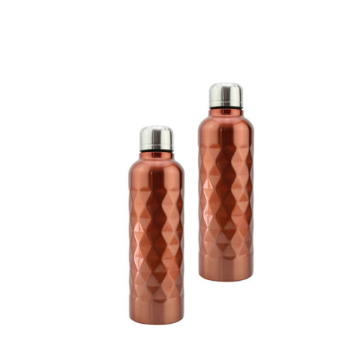 Garrafa Inox 750ml
