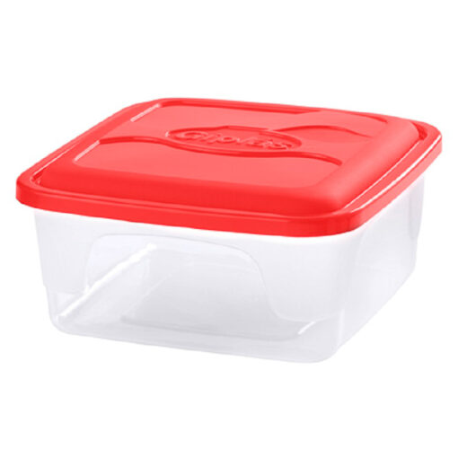 Pote Qd Organizador 4,0lts