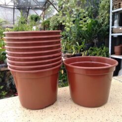 Vaso Plast. N14,5 Red Marrom