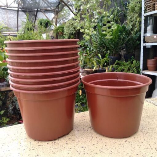 Vaso Plast. N14,5 Red Marrom