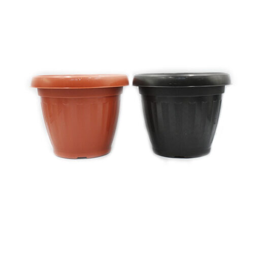 Vaso Rd Romano N.1 Md Color