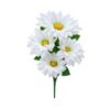 Buque Dalia C/05 33cm
