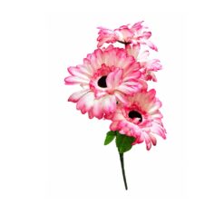 Buque Gerbera C/05 34cm