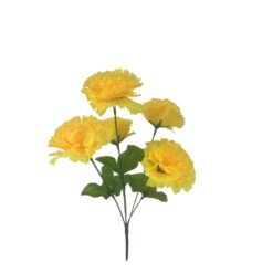 Buque Cravo C/05 33cm