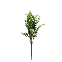 Buque Eucalipto C/05 35cm