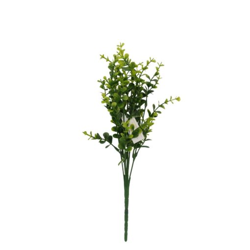 Buque Eucalipto C/05 35cm