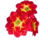 Buque Peonia C/05 34cm