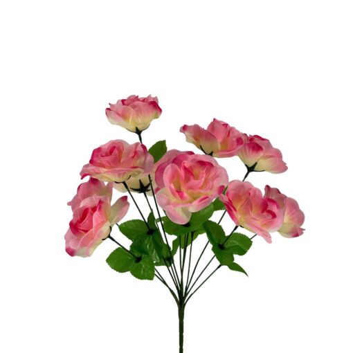 Buque Rosa C/12 42cm
