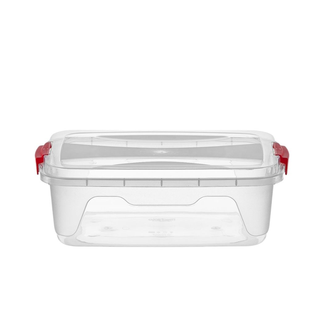 Caixa Organizadora Plast Organizatta 10l