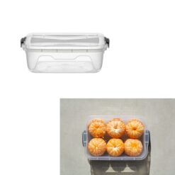 Caixa Organizadora Plast Organizatta 6l