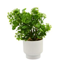 Vaso Decorativo C/ Planta 9x6,5cm