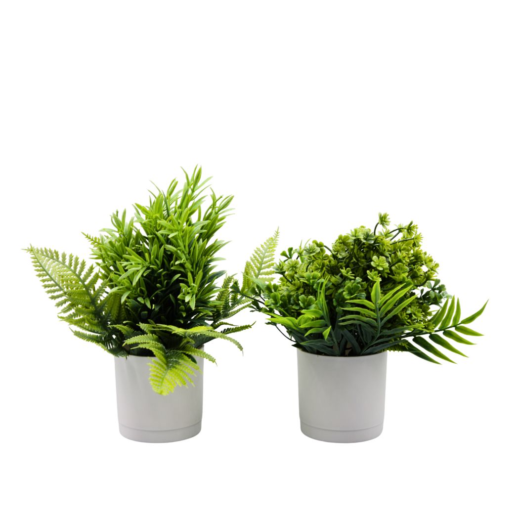 Vaso Decorativo C/ Planta 7x7,5x21cm