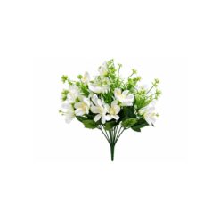 Buque Orquidea C/ Complementos C/11