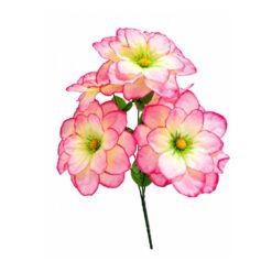 Buque Dalia C/05 33cm